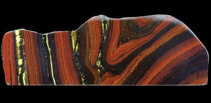 Polished Tiger Iron Stromatolite - ( Billion Years) #65553